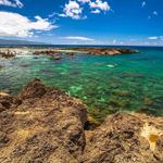 Sharks Cove