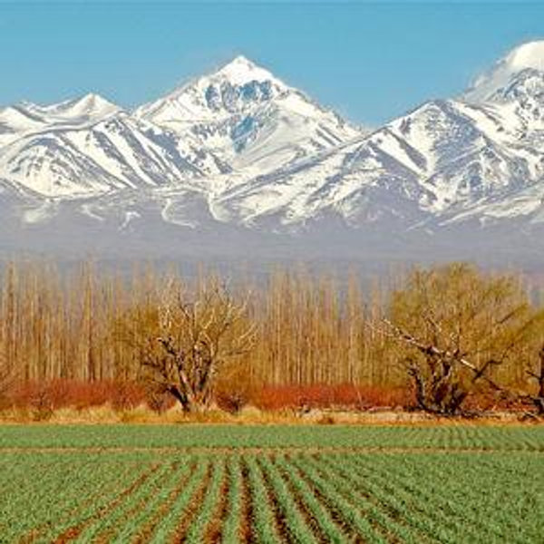 Argentina Honeymoon Fund (Venmo, no fee)