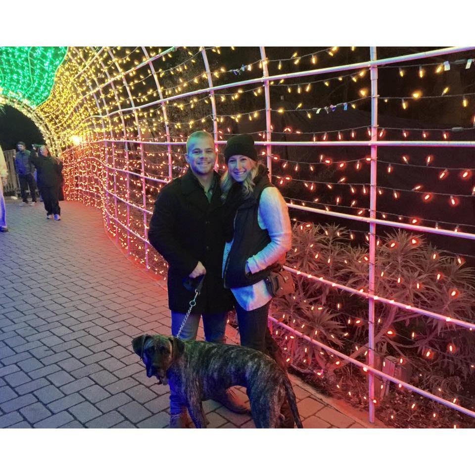 Our first Christmas together at the Cambria light shows. Of course, we brought along our first fur baby, Bailey.