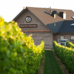 Newport Vineyards