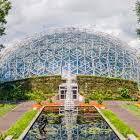 Missouri Botanical Garden