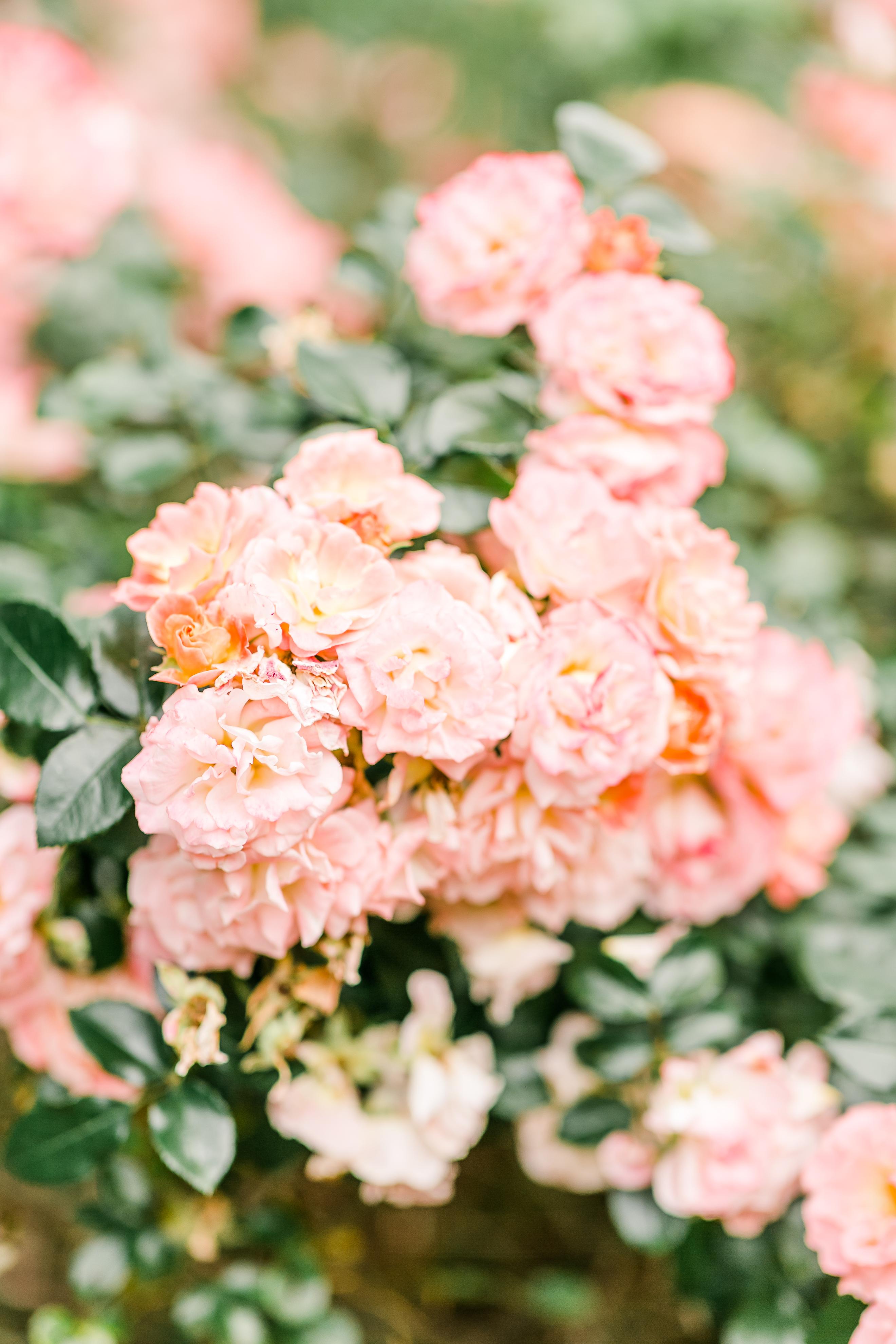 The Wedding Website of Hunter Ledbetter and Josh Freeman