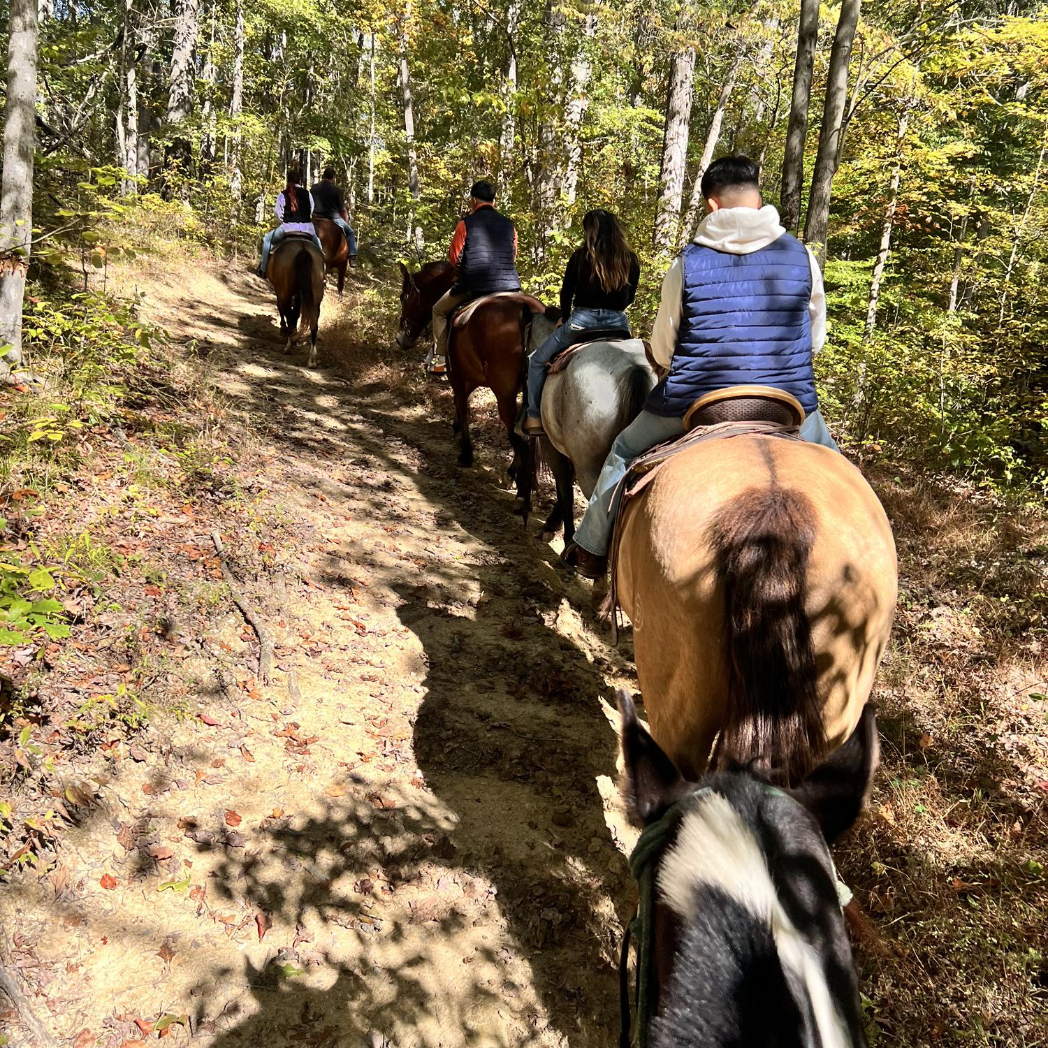 Going horseback riding with the family