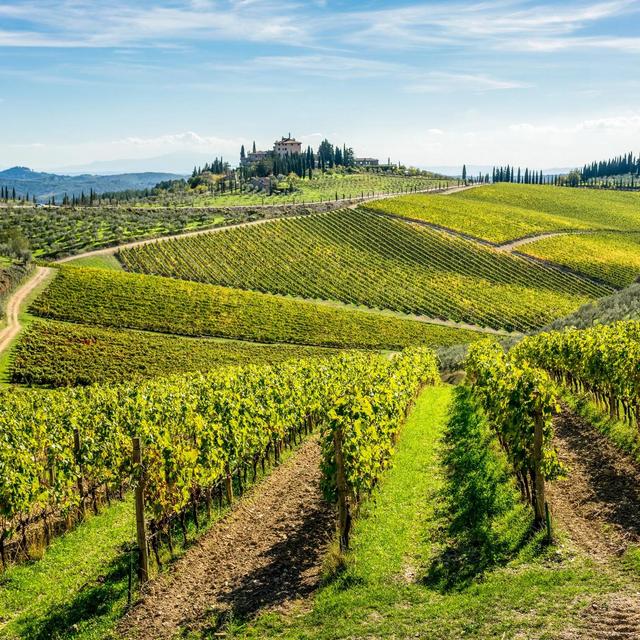 Honeymoon excursion exploring Chianti's villages and vineyards