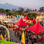 Upland Lemon Festival