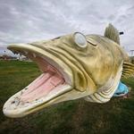 World's Largest Walleye