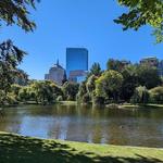 Explore Downtown Boston