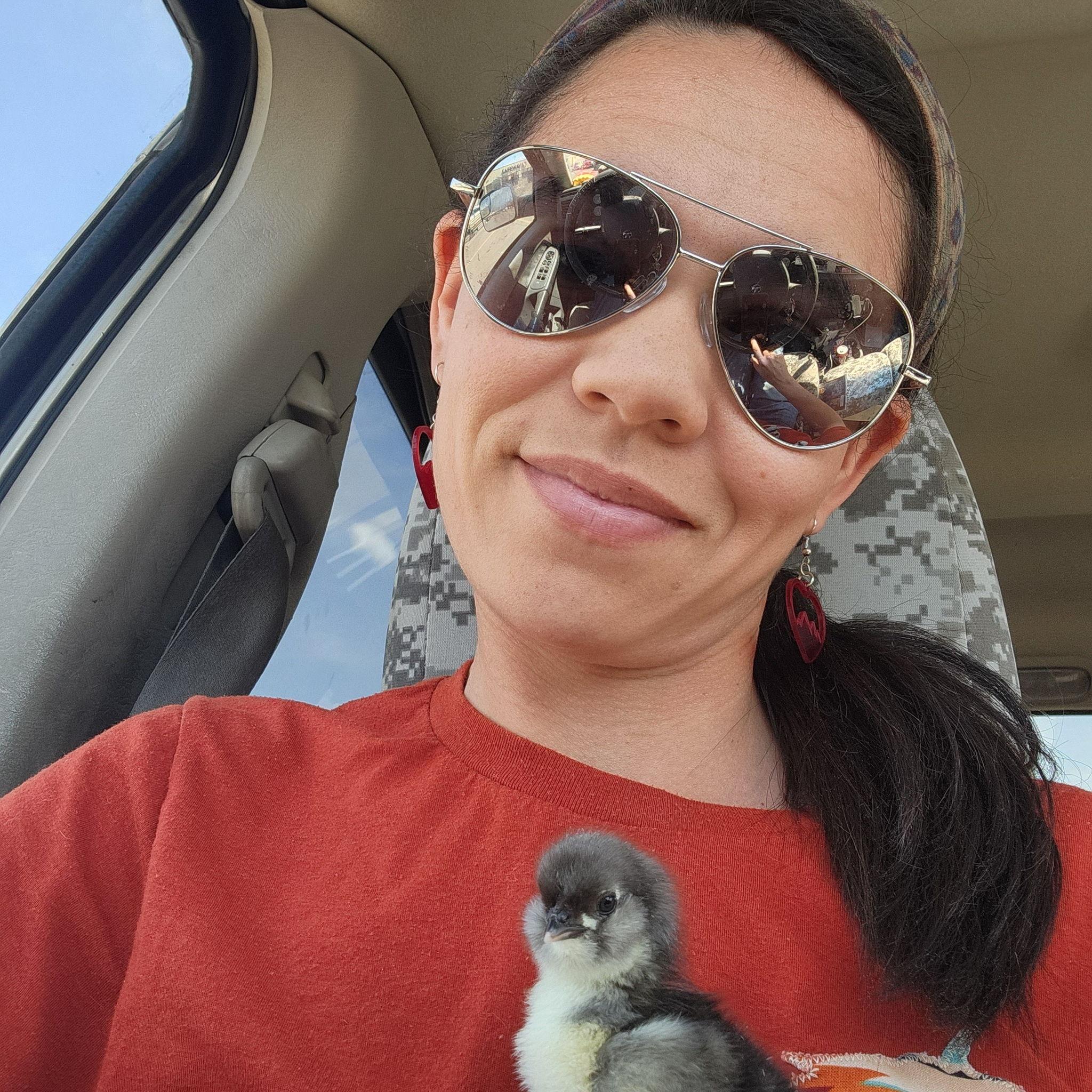 It's always the cute chickens that pull on your heart strings! One turned into so many more.