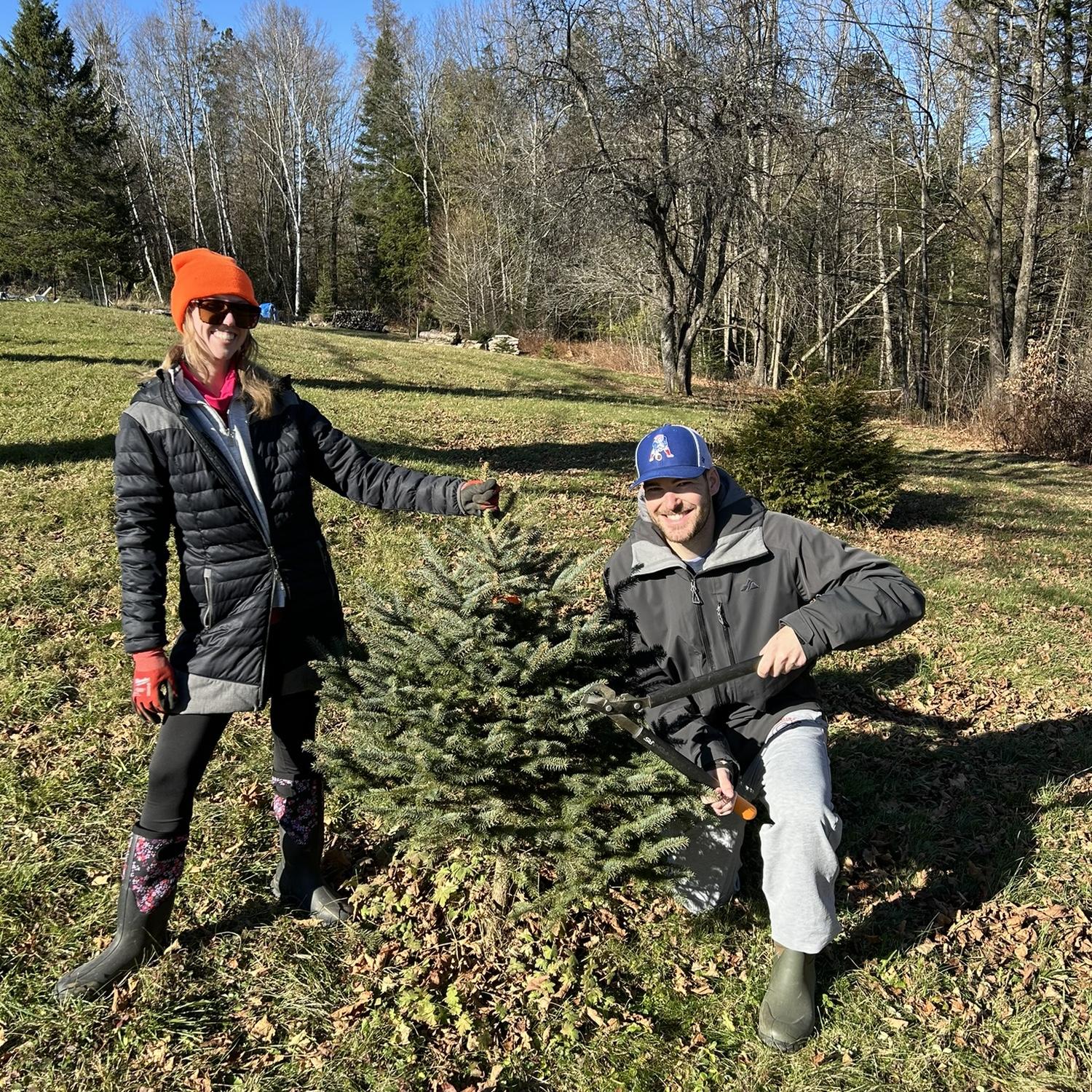 Shopping for Christmas trees in the Sutton house backyard.