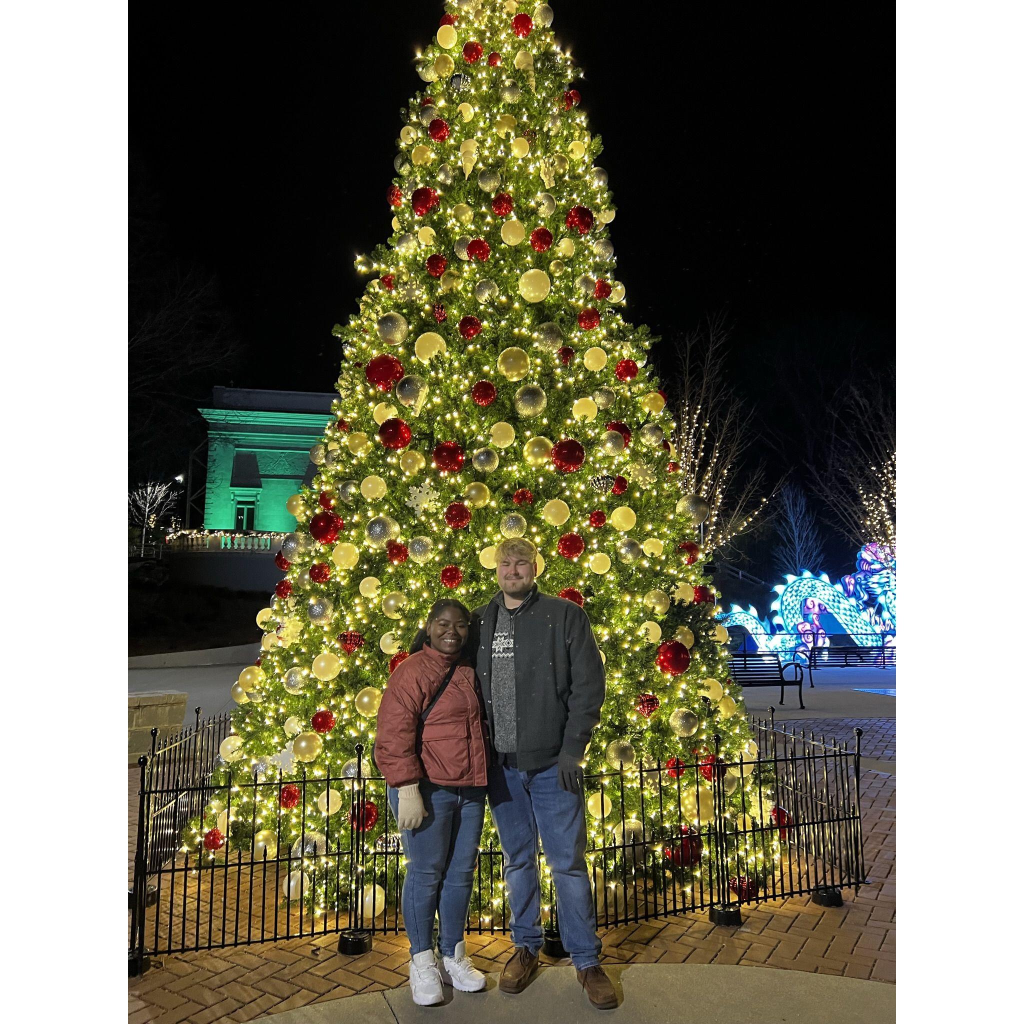 Birthday surprises at the Zoo!