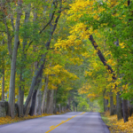 Drive down Old Frankfort Pike Scenic Byway
