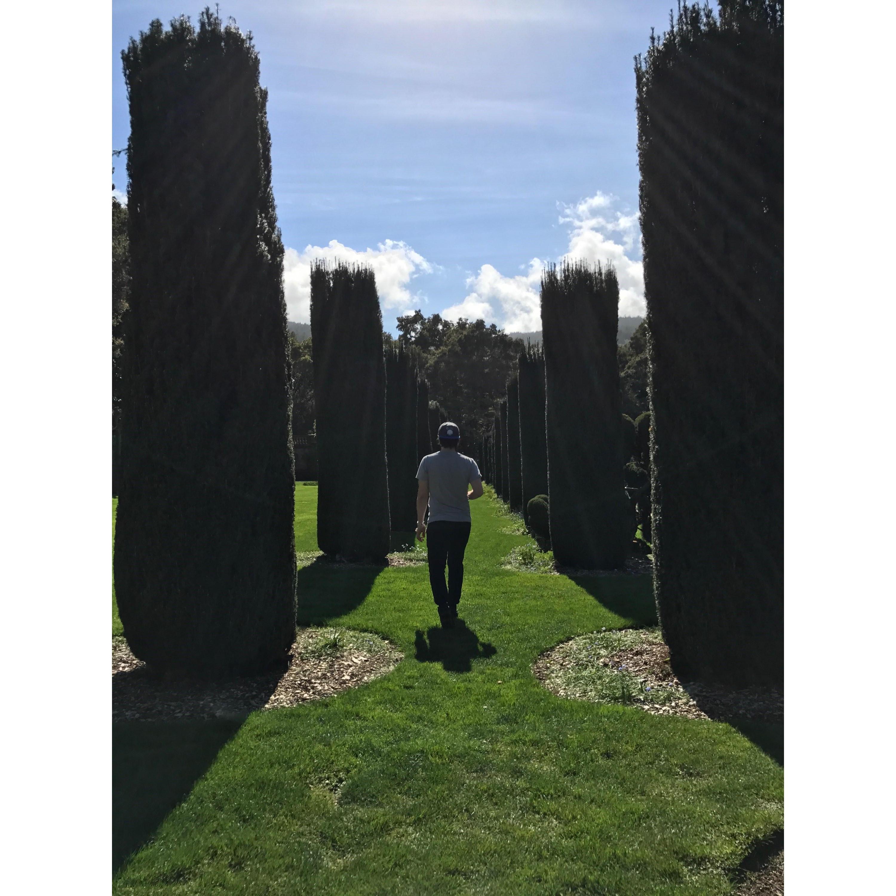 Walking thru Filoli Gardens
Woodside, CA