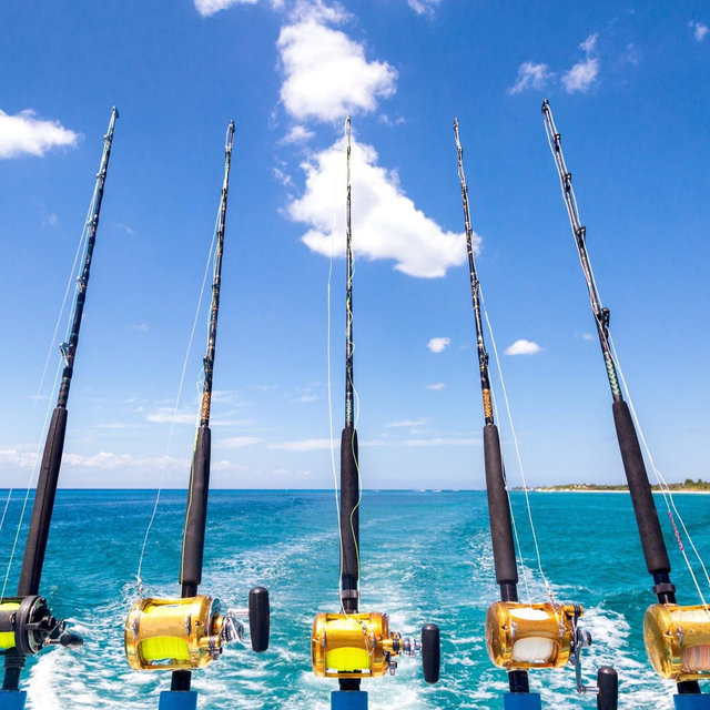 4hr Ocean Fishing Excusion