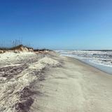 Huntington Beach State Park