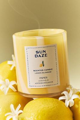 Papier x Anthropologie Floral Lemon Blossom Boxed Glass Candle