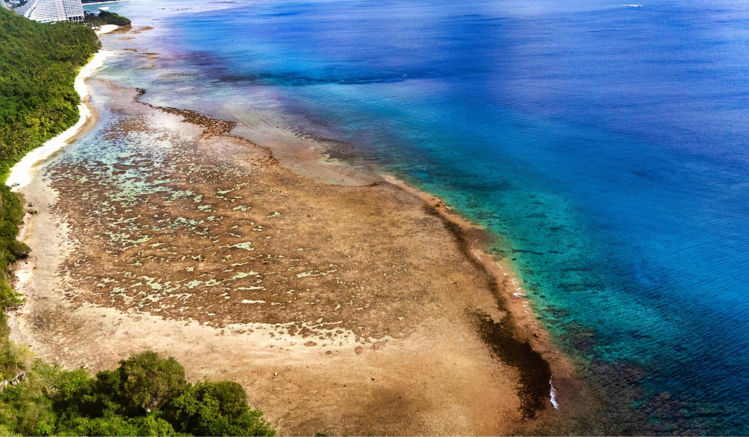 The Wedding Website of Janet Salazar and Mark Ocampo