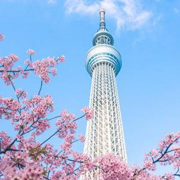 Tokyo Sky Tree Admission