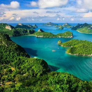 Overall Honeymoon Fund