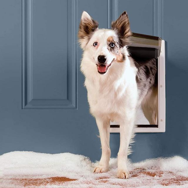PetSafe Most Energy Efficient Pet Door Extreme Weather Aluminum Cat and Dog Door - 3 Flap Insulation - Easy DIY Installation - for Small, Medium, and Large Pets