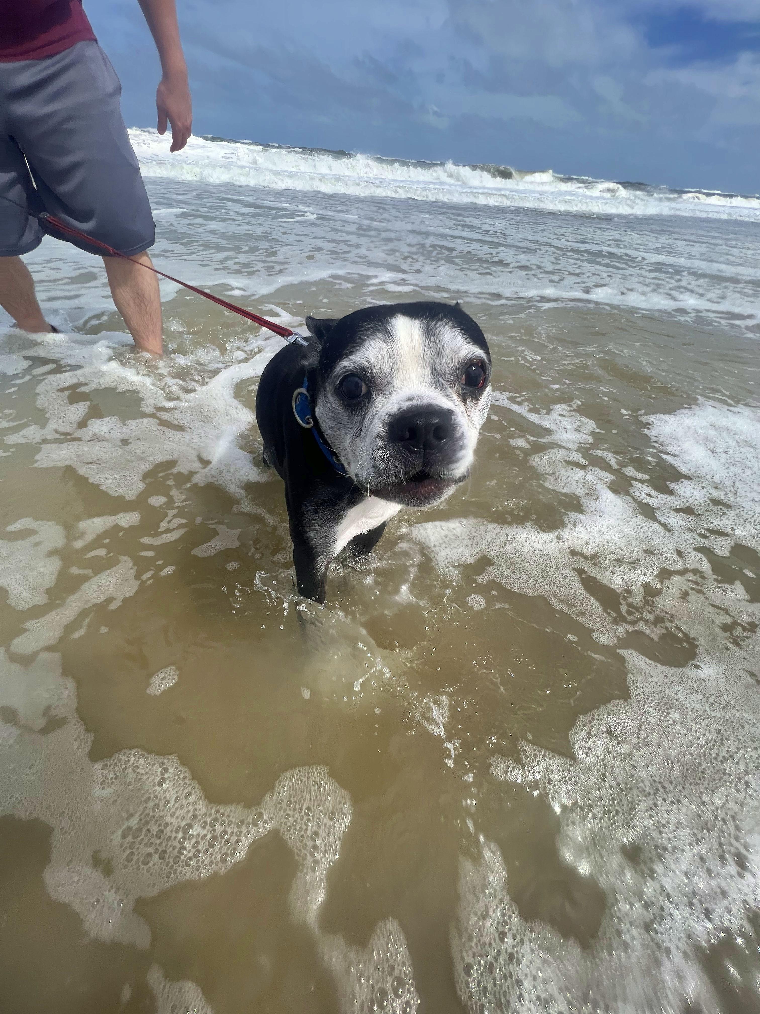 The Wedding Website of Shepp Willoughby and Alexandra Williams