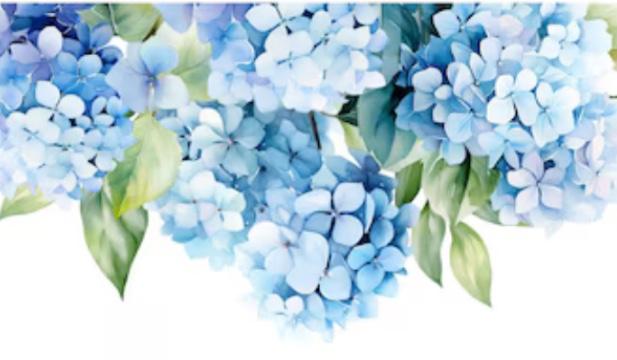 The Wedding Website of Kiley Hubbard and Richard Cardwell