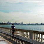 Bayshore Boulevard