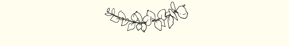 93b2bb97-5805-4bfa-af94-277f38470c67