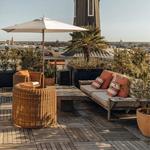 Citrus Club - The Dewberry