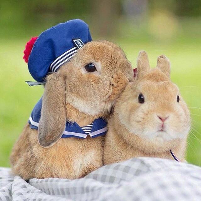 Relationship goals (not kidding)