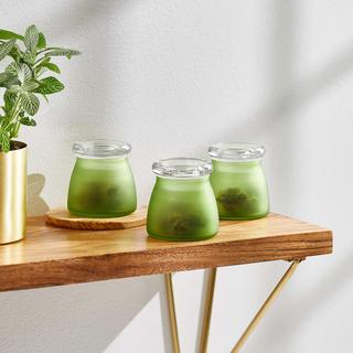 BudShield Storage Jar with Lid, Set of 3