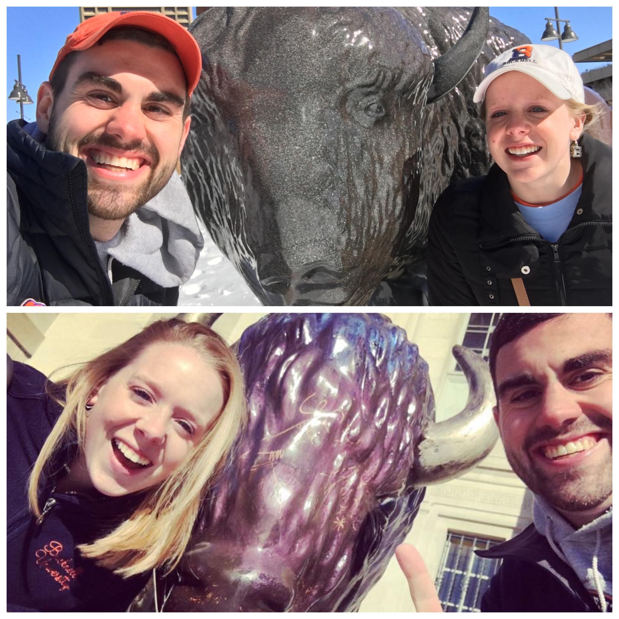 We love finding Bison -- from Indianapolis, IN to Buffalo, NY