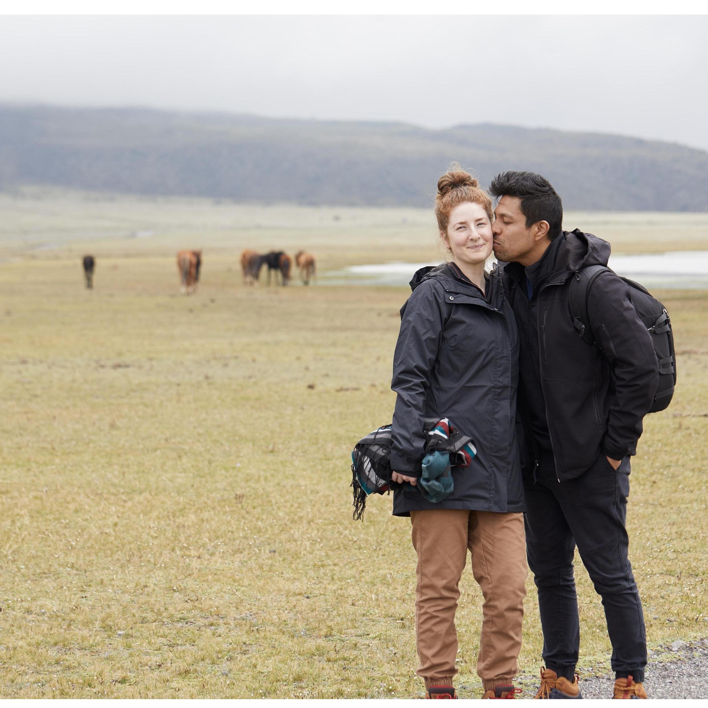 Ecuador + wild horses in Cotopaxi National Park