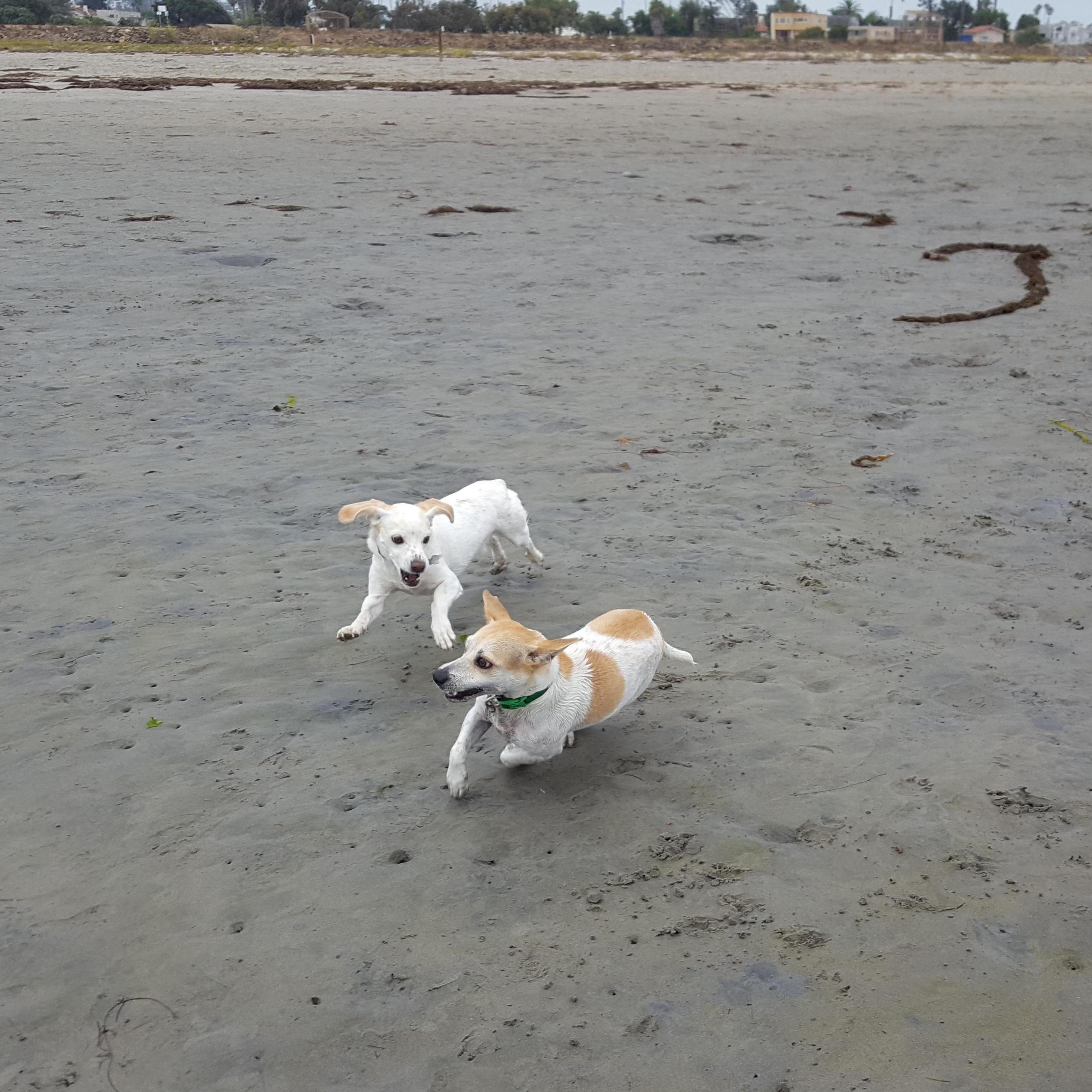Running at the beach!