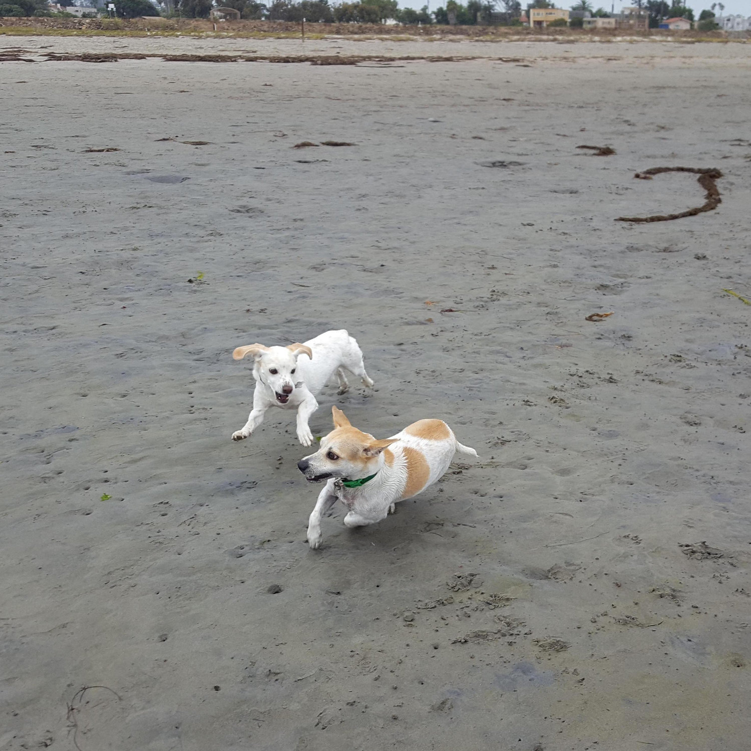 Running at the beach!