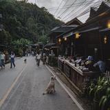 Mae Kampong Village
