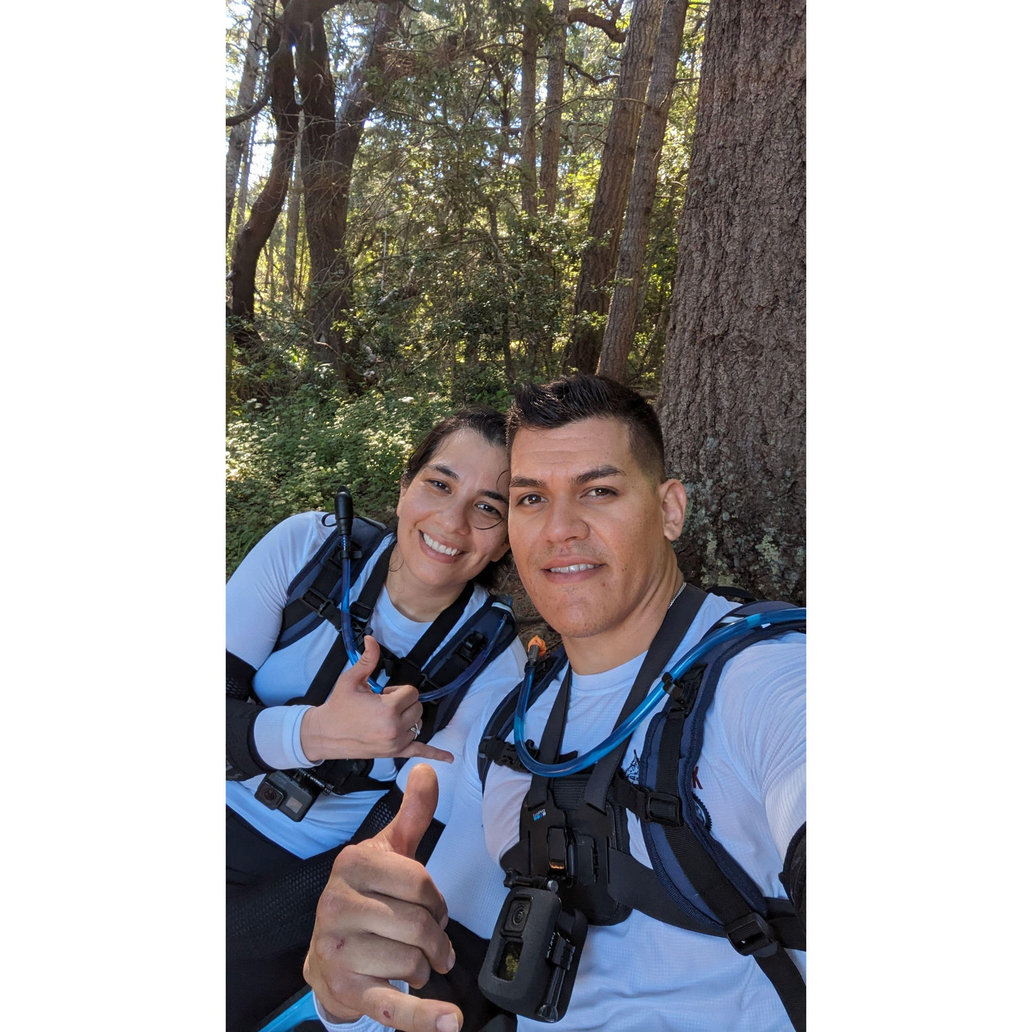 Riding the redwoods