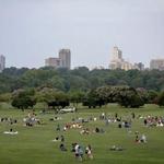 Dorothea Dix Park