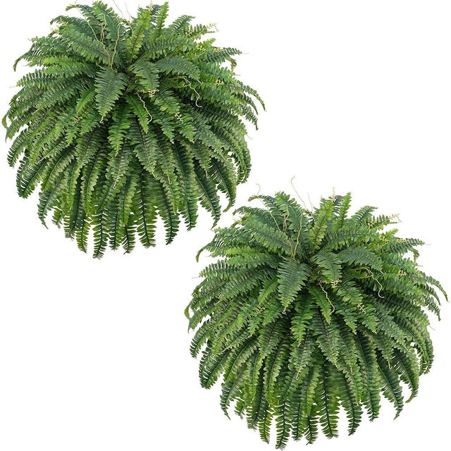 FOREST PRINCE 50" Fake Ferns Bush Plants with 96 Frond, 2 Faux Ferns for Outdoors Planter Large Garden Porch Entrance Balcony Windowsill Home Decor