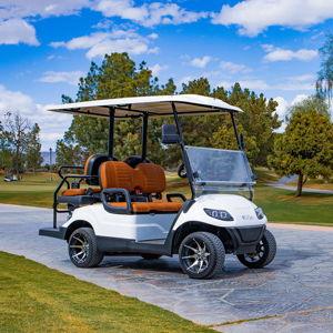 Golf Cart Fund