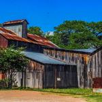 Sister Creek Vineyards