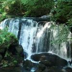 Whatcom Falls Park
