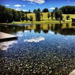 Clark Art Institute