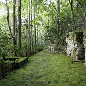 Guided Tours On Our Honeymoon