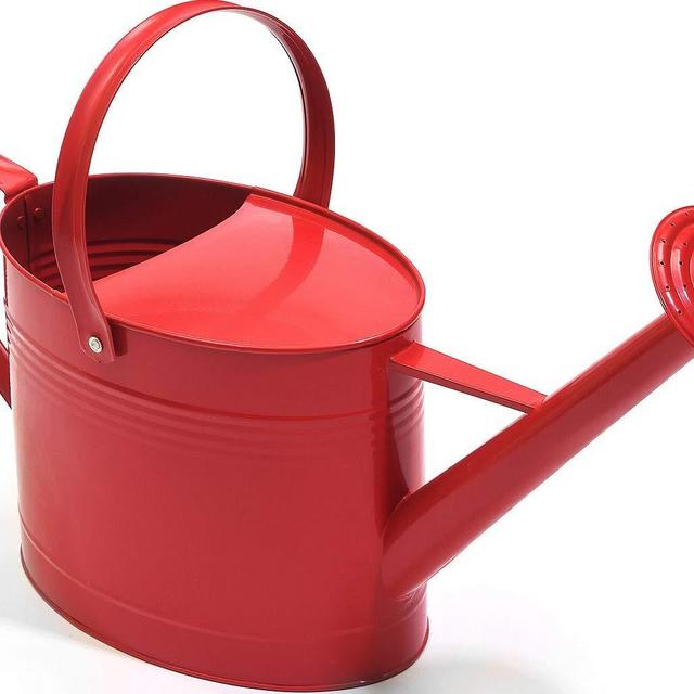 AshmanOnline Red Watering Can