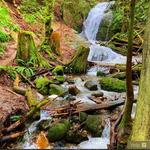 Coal Creek Falls Trail