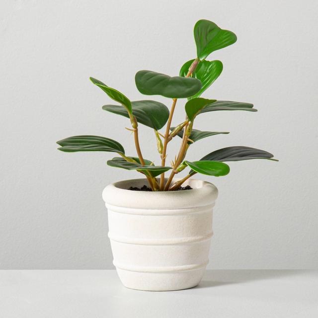 Faux Mini Hoya Heart Potted Plant - Hearth & Hand™ with Magnolia