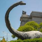Carnegie Museum of Natural History