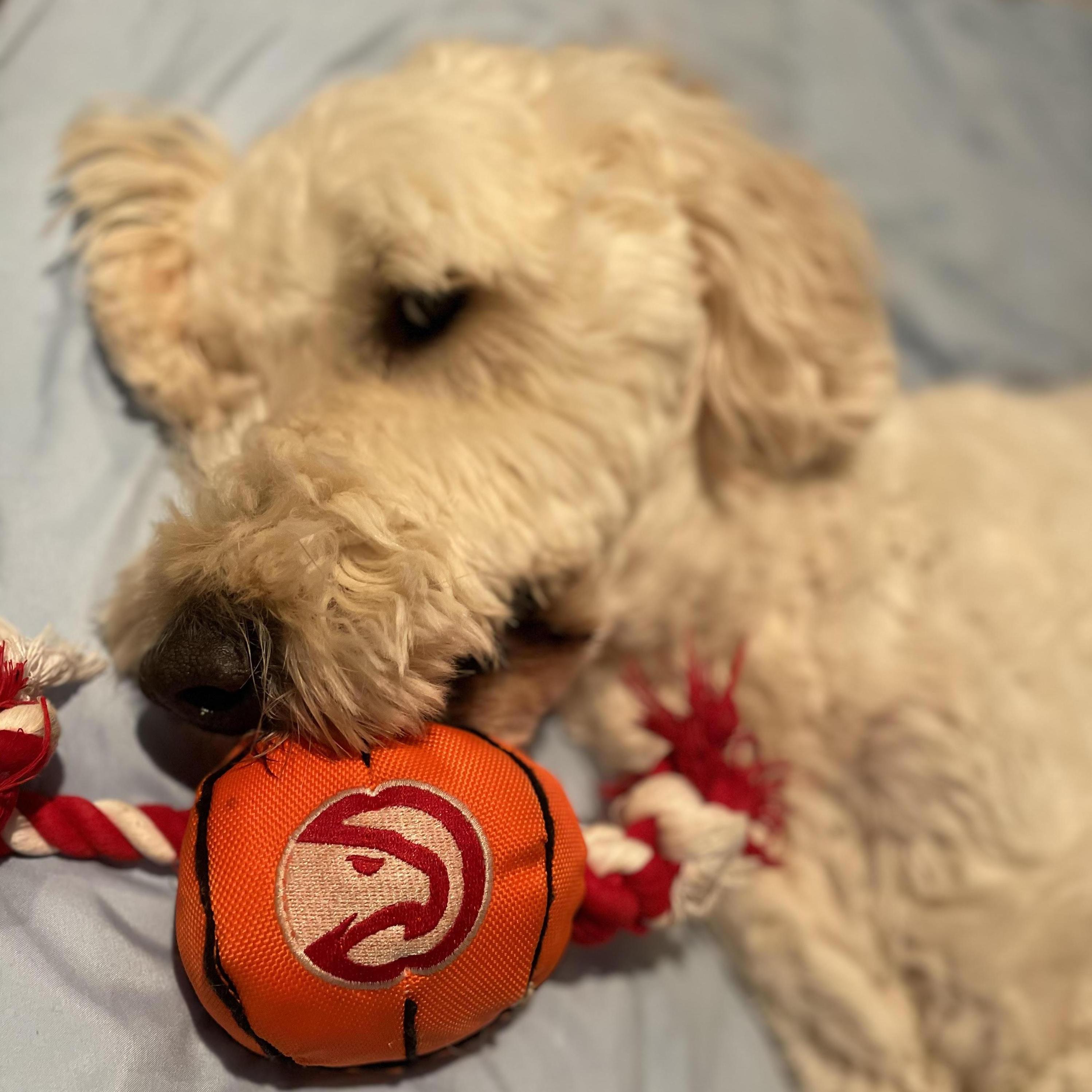 Murphy is a huge Hawks and Trae Young fan!