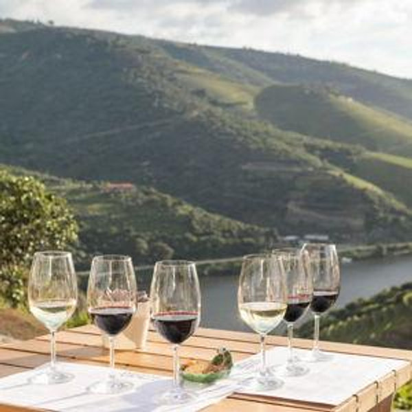 Duoro Valley Wine Tasting