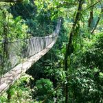Místico Arenal Hanging Bridges